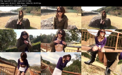 1pon-051111_09116ff0f791b3d846ae.jpeg