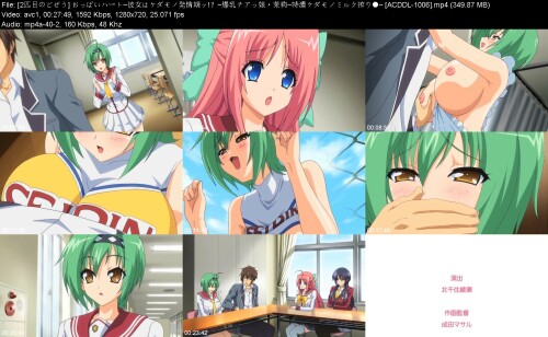 2__ACDDL-10067954ce9aa7d5883a.jpeg