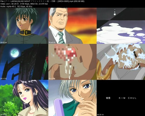 JAPAN_BLIND_NIGHT__02__SRDV-000583ba50e7f50eb2eb.jpeg