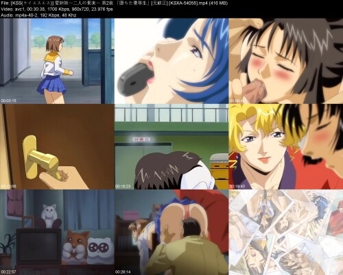 KSS__2__KSXA-54058517d90aec4d367b6.jpeg