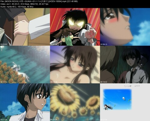 MOON_ROCK_SUIKA01_HODV-1000406fa49d53b22ea69.jpeg