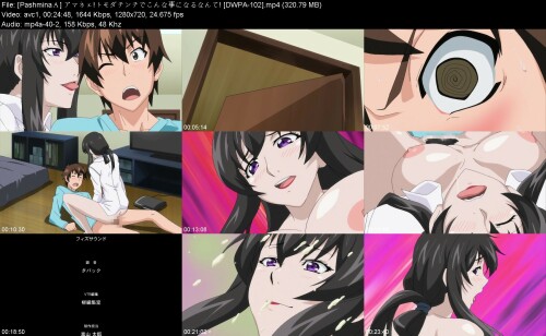 Pashmina__DWPA-1021d3741af834b5ef4.jpeg