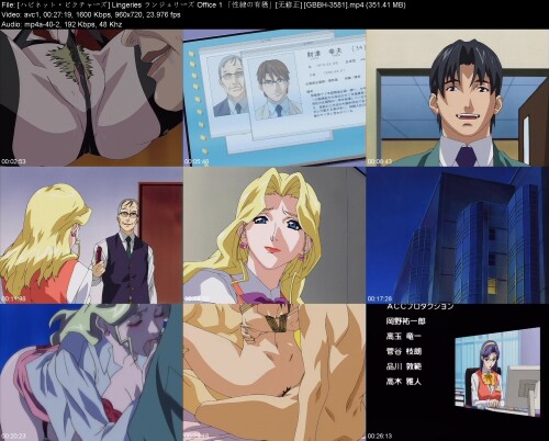 _Lingeries__Office_1__GBBH-358159a6dac6917776d6.jpeg
