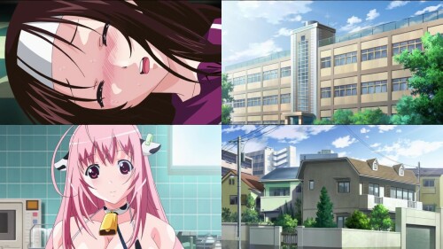 _THEANIMATION_JDXA-57103.jpeg