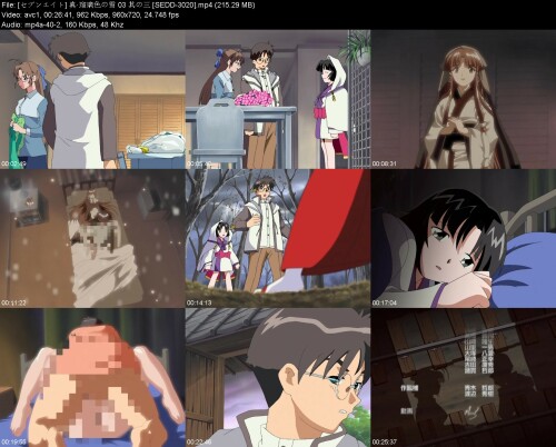 __03__SEDD-3020266dc73ad5ac2680.jpeg