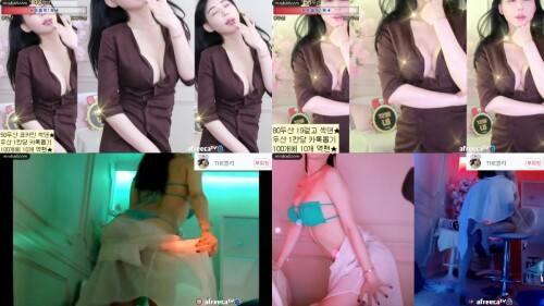 kbj22122924_h920823.jpeg