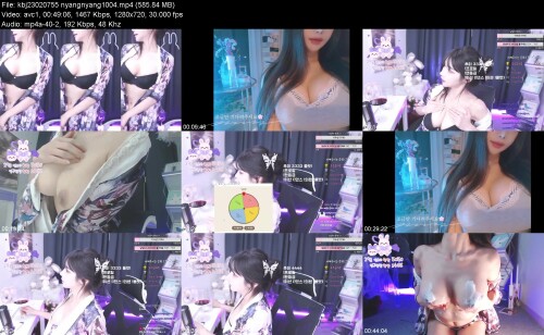 kbj23020755_nyangnyang1004a6a81824b04525a9.jpeg