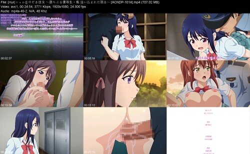 nur____ACNDP-10148571d20138b91e2f.jpeg