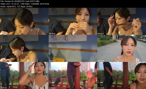 Korean BJ 2024061201