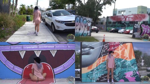 Faith_-_Faith_No_Pants_in_Public.jpeg