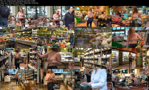 Lily_-_Goes_Grocery_Shopping0095e76bc627f221.jpeg