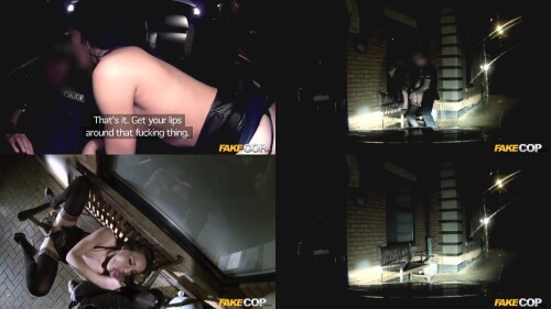 night-patrol-cheeky-young-lass-likes-daring-outdoor-sex.jpeg
