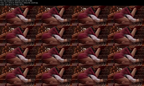 Ada_Howlsfm-01_nsfwwaifu6e01226a494e8f05.jpeg
