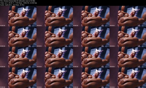Ahsoka_Elrecondite-04_nsfwwaifu0da0b6c3084461eb.jpeg