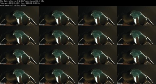 Ballerina_Hydrafxx-01v2_XRAY_nsfwwaifufc2d0f594b0a17bd.jpeg