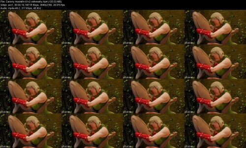 Cammy_Howlsfm-01v2_nsfwwaifufbf7457fdc087114.jpeg