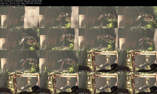 Ciri_Fatcat17-01_MONSTER_nsfwwaifu468e58c21f2a84dd.jpeg