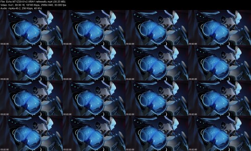 Echo_M71Z30-01v2_XRAY_nsfwwaifub841e731cd7046d0.jpeg