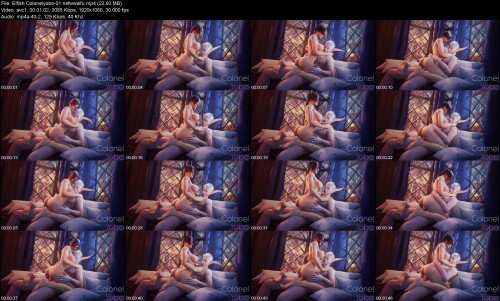 Elfish_Colonelyobo-01_nsfwwaifueff075e2b044af8c.jpeg