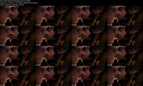 Gaia_Initiala-02_nsfwwaifucc19584a1a3b2ffe.jpeg