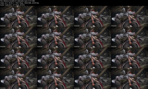 Malenia_Howlsfm-01_nsfwwaifuaf5ebdd02c7572a1.jpeg