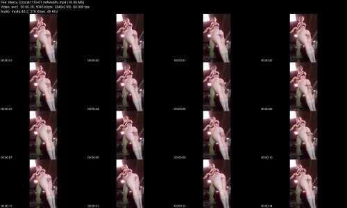 Mercy_Concat1110-01_nsfwwaifu7cbfc2661c094c5f.jpeg
