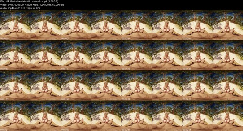 VR_Marika_Hentaivr-01_nsfwwaifuf7d9813ee3146ec1.jpeg
