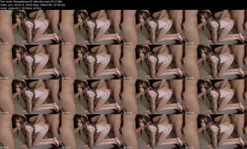 Aerith_Pewposterous-02_nsfwwaifu5808f824bef1316f.jpeg
