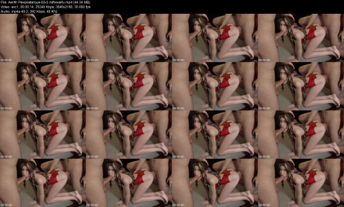 Aerith_Pewposterous-02v3_nsfwwaifu176140487b14d396.jpeg