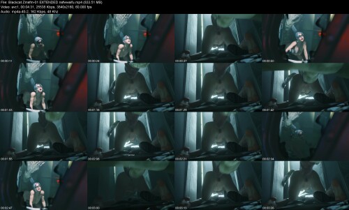 Blackcat_Zmsfm-01_EXTENDED_nsfwwaifu4dfe1034b3567a6a.jpeg