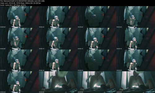Blackcat_Zmsfm-01v2_MONSTER_nsfwwaifu0de62fd55ddd2515.jpeg