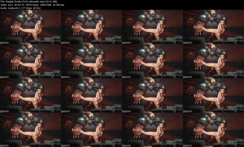Brigitte_Zmsfm-01v5_nsfwwaifu5c6f8411a293aeb8.jpeg