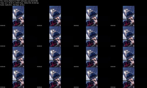 Cammy_Rebit-01v2_FEET_nsfwwaifuda4a617b12443bc9.jpeg