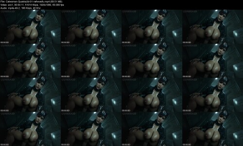 Catwoman_Quakka3d-01_nsfwwaifu2c355671f4087137.jpeg