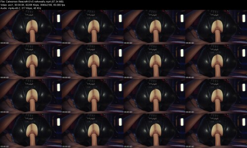 Catwoman_Rescraft-01v5_nsfwwaifu526c2da3b1535588.jpeg
