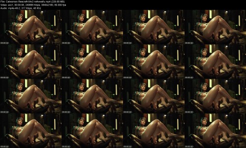 Catwoman_Rescraft-04v2_nsfwwaifu192da9f299dc3938.jpeg