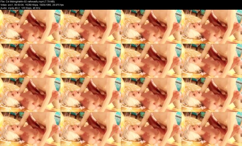 Ciri_Midnightsfm-02_nsfwwaifu074fbffb97716ede.jpeg