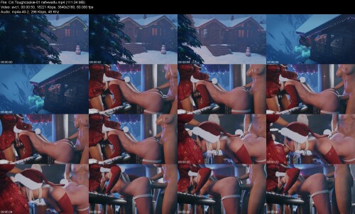 Ciri_Toughcookie-01_nsfwwaifu709e040227b1c6bc.jpeg