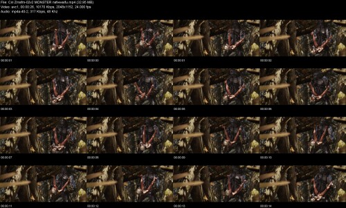 Ciri_Zmsfm-02v2_MONSTER_nsfwwaifu8a16a2cd6c74c363.jpeg