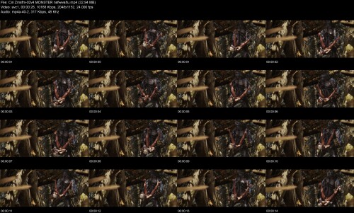 Ciri_Zmsfm-02v4_MONSTER_nsfwwaifuda3a59b2d0944307.jpeg