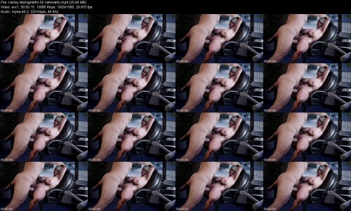 Harley_Midnightsfm-03_nsfwwaifu6b4547dcb2dfa444.jpeg