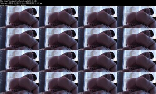 Misaki_Tdontran-01_nsfwwaifua0088d1027d3a463.jpeg