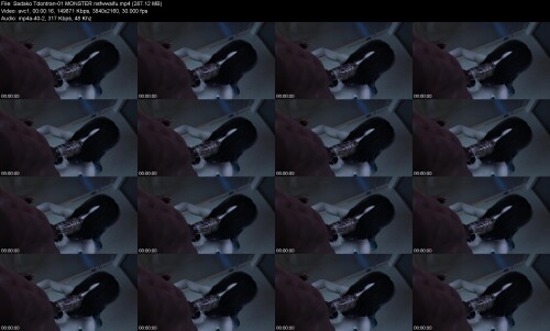 Sadako_Tdontran-01_MONSTER_nsfwwaifud0481637ae84d638.jpeg