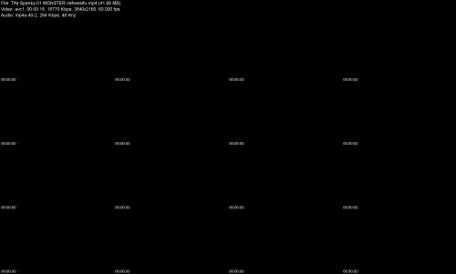 Tifa_Spanky-01_MONSTER_nsfwwaifu7b8caade37f18f91.jpeg