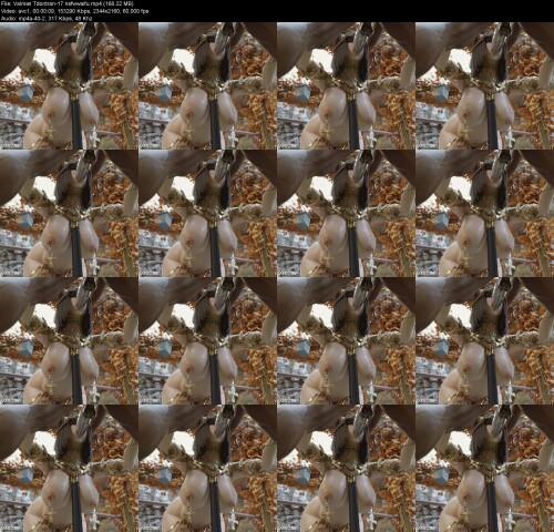 Valmiel_Tdontran-17_nsfwwaifu8be1a312f0fb7cde.jpeg