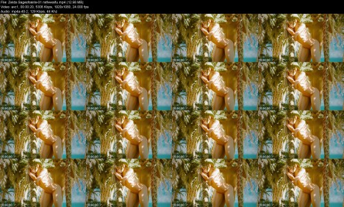 Zelda_Sageofosiris-01_nsfwwaifu04ee7ab9a2d0231a.jpeg