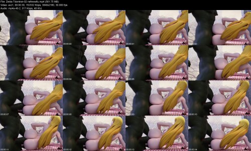Zelda_Tdontran-02_nsfwwaifu2a972d4e592d297e.jpeg